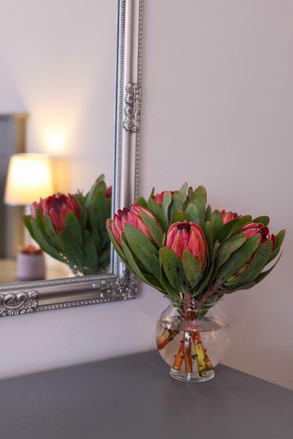 Brookshill - Protea Suite Somerset West Zewnętrze zdjęcie